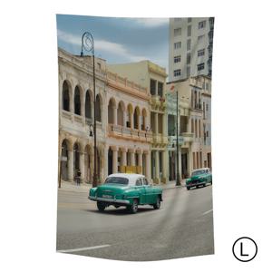 135x230cm 파티오 쉬폰 패브릭 포스터 커튼 자연 풍경 가리개 커튼