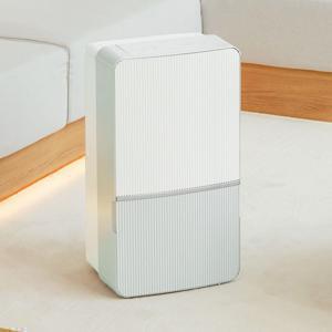 21L 인버터 제습기 DXWE210-NGK 세이지그린 1등급