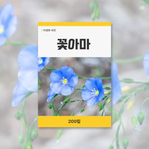 꽃아마 씨앗 200립 꽃씨앗 새싹 키우기