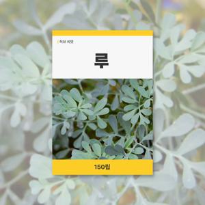 루 씨앗 150립 허브 잔디 씨앗 새싹 키우기