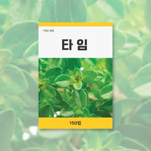 타임 씨앗 150립 허브 잔디 씨앗 새싹 키우기