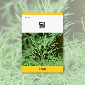 딜 씨앗 400립 허브 잔디 씨앗 새싹 키우기