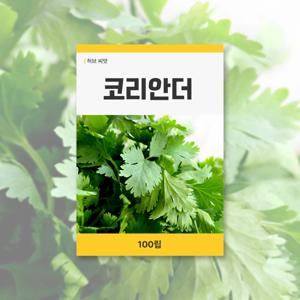 코리안더 씨앗 100립 허브 잔디 씨앗 새싹 키우기