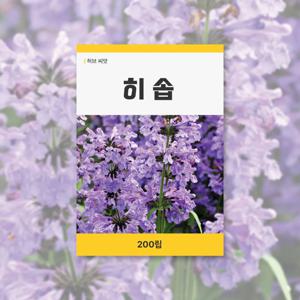 히솝 씨앗 200립 허브 잔디 씨앗 새싹 키우기