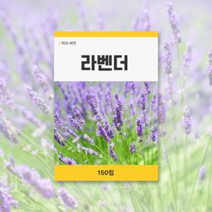 라벤더 씨앗 150립 허브 잔디 씨앗 새싹 키우기
