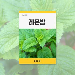 레몬밤 씨앗 200립 허브 잔디 씨앗 새싹 키우기