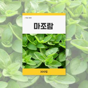 마조람 씨앗 300립 허브 잔디 씨앗 새싹 키우기