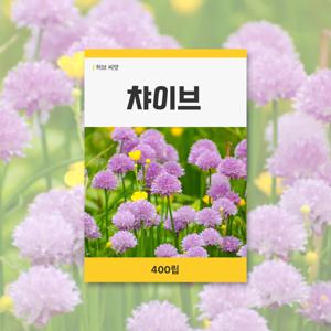 챠이브 씨앗 400립 허브 잔디 씨앗 새싹 키우기