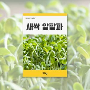 새싹 알팔파 씨앗 30g 새싹채소 씨앗 새싹 키우기