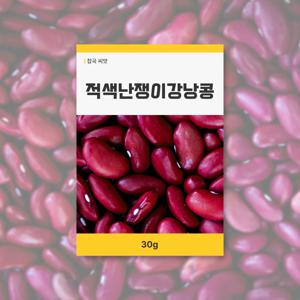 적색난쟁이강낭콩 씨앗 30g 뿌리채소 씨앗 새싹 키우기