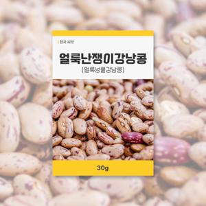 얼룩난쟁이강낭콩 씨앗 30g 뿌리채소 씨앗 새싹 키우기