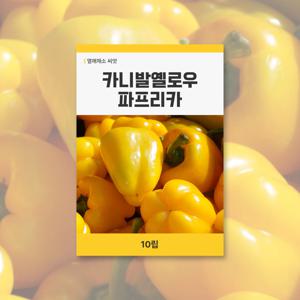 카니발옐로우 파프리카 씨앗 10립 열매채소 씨앗 새싹 키우기