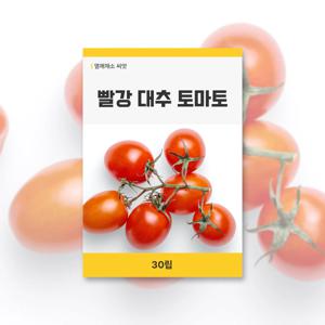 빨강대추토마토 씨앗 30립 열매채소 씨앗 새싹 키우기