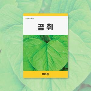 곰취 씨앗 100립 잎채소 씨앗 새싹 키우기