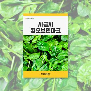 시금치 킹오브덴마크 씨앗 1300g 잎채소 씨앗 새싹 키우기