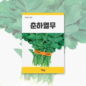 춘하열무 씨앗 15g 잎채소 씨앗 새싹 키우기