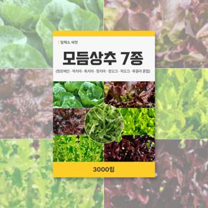 모듬상추 7종 씨앗 3000립 잎채소 씨앗 새싹 키우기