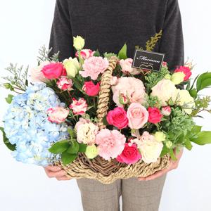 메르씨 카네이션 대형 생화꽃바구니 어버이날