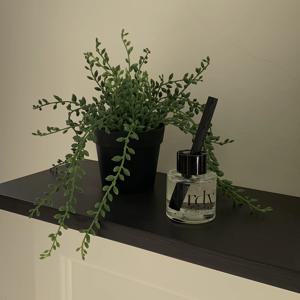 랑데뷰 방향제 실내용 디퓨저 답례품 50ml