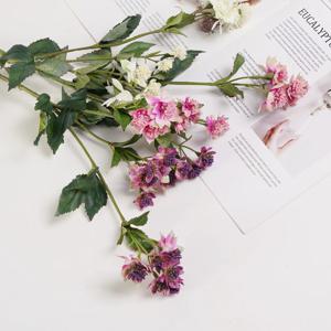 아스트란티아 조화 장식 인테리어 조화 꽃