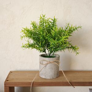 로즈마리 테이블 미니 조화화분