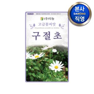 구절초꽃 씨앗 1000립 . 선모초 구일초 노지월동 정원 화단 파종 꽃씨 종자