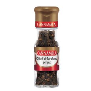 클로버 20g 정향 향신료