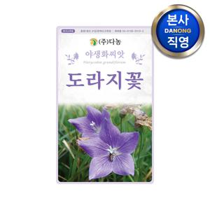 도라지꽃 씨앗 3g . 길경 조경 정원 화단 꽃밭 야생화 꾸미기 꽃씨 종자