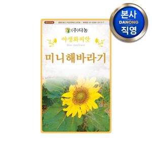 미니 해바라기 씨앗 2g . 키 작은 낮은 왜성 야생화 조경 정원 꽃씨 종자