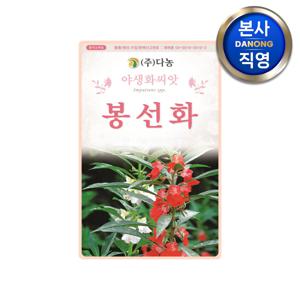 봉선화 씨앗 1kg . 봉숭아 봉숭화 봉송아 조경 정원 야생화 키우기 꽃씨 종자