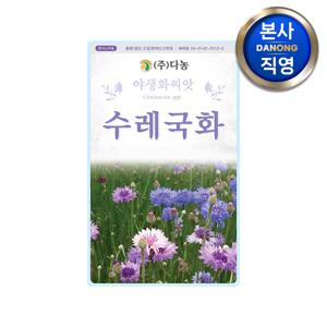 수레국화 씨앗 1kg . 조경 정원 화단 식물 관상용 야생화 꾸미기 꽃씨 종자