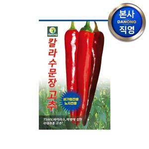 칼라수문장 고추 씨앗 1200립 . 극대과종 바이러스 칼라병 역병 강한 씨 종자