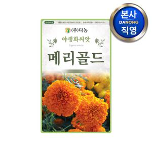 아프리칸 메리골드 씨앗 500g . 천수국 야생화 관상 일년생 식물 꽃씨 종자