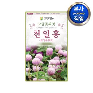 왜성 천일홍 분홍색 씨앗 2000립 . 천일초 천금홍 야생화 꽃씨 종자
