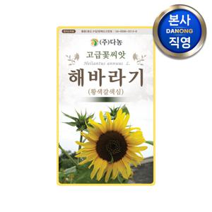 왜성 해바라기 황색갈색심 씨앗 60cm 50립 . 키작은 야생화 식물 꽃씨 종자