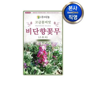 비단향꽃무 혼색 씨앗 100g . 스톡 스토크 정원 화단 만들기 키우기 꽃씨 종자