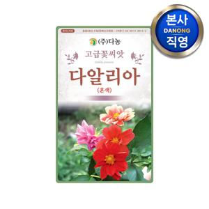 다알리아 혼색 씨앗 100립(1g) . 달리아 대려화 야생화 키우기 꽃씨 종자