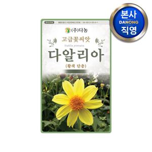 다알리아 황색단층꽃 씨앗 2000립 . 달리아 대려화 야생화 키우기 꽃씨 종자
