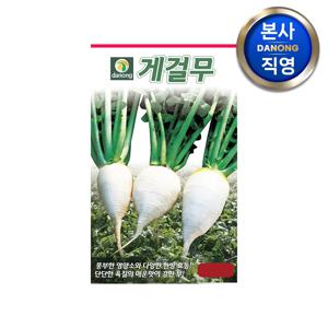 게걸무 씨앗 500립 . 단단한 토종무 무우 채소 주말 농장 텃밭 재배 종자