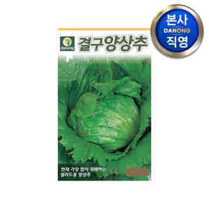 결구 양상추 씨앗 2000립 . 야채 채소 텃밭 파종 재배 주말 농장 씨 종자