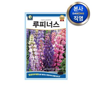 루피너스 씨앗 1g . 혼합 층층이 부채꽃 야생화 화단 조경 텃밭 꽃 꽃씨 종자