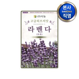 라벤더(트루)허브 씨앗 100립 . 잉글리쉬 라벤다 텃밭 화단 허브 키우기 꽃씨 종자