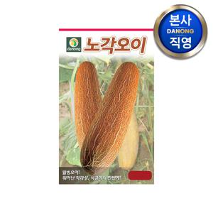 노각 오이 씨앗 100g . 야채 채소 텃밭 파종 재배 주말 농장 씨 종자