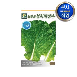 늘푸른(여름) 청치마 상추 씨앗 3g . 야채 채소 텃밭 재배 파종 씨 종자
