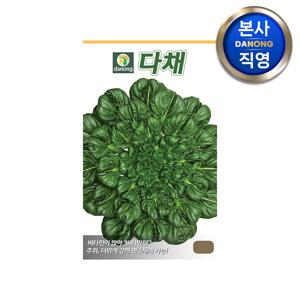 다채 씨앗 (비타민채) 5g . 채소 텃밭 재배 주말 농장 파종 씨 종자