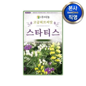 스타티스 씨앗 1g . 정원 텃밭 화단 허브 식물 심기 파종 키우기 꽃씨 종자