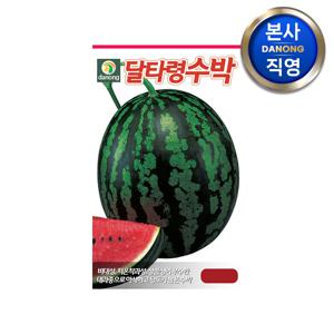 달타령 수박 씨앗 2천립 . 야채 채소 텃밭 파종 재배 주말 농장 씨 종자