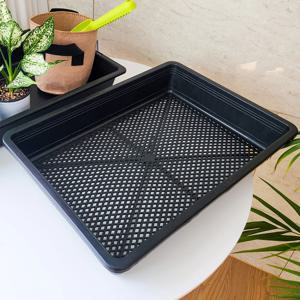 삽목상자 트레이 대형 10L 저면관수 화분 받침대 다육이 저면관수