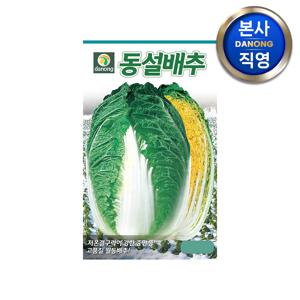 동설 배추 씨앗 300립 . 원예 야채 채소 텃밭 주말 농장 씨 종자