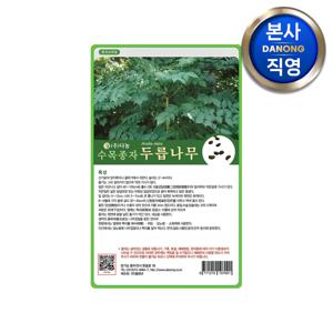 두릅 나무 씨앗 1kg . 수목 식물 씨 종자